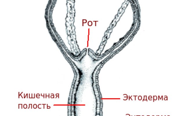 Ошибка на сервере кракен